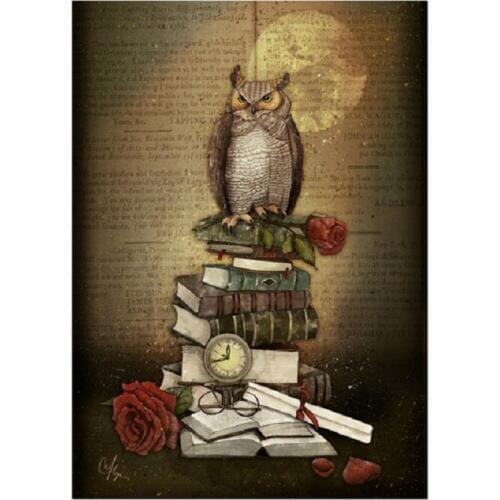 5D DIY square round Diamond Painting Owl and flower Cross Stitch Diamond Embroidery Pattern Rhinestone home decor J0523