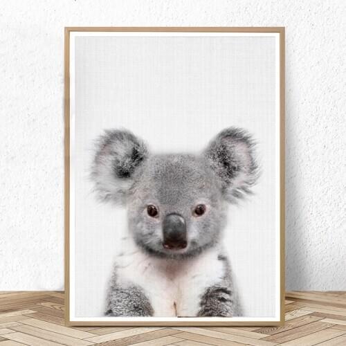 Baby Koala Print Australian Animal Nursery Wall Art Peekaboo Canvas Painting Animals Posters and Prints Kids Bedroom Decor