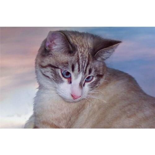 New diamond embroidery animals Cartoon diy diamond painting cross stitch kits diamond mosaic blue cat crystal embroidery M6984R