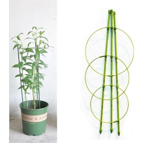 Durable Creative Vine Climbing Rack 45cm Flower Decorative Gardening Tools Vegetables Plant Trellis Plant Support Frame Plant