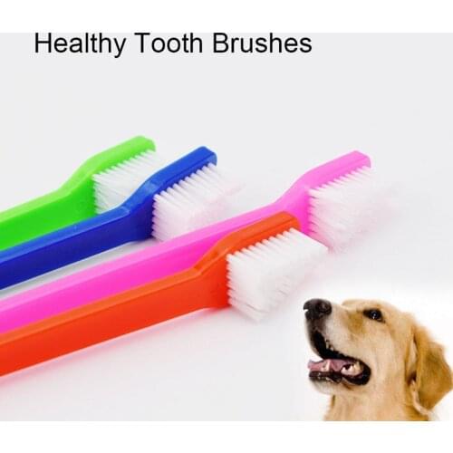 2pcs Teeth Cleaning Pet Cat Dog Tooth Brush for Dogs 22cm Long Handle Finger Brush For Pet Dog Cat Healthy Two Heads Toothbrush