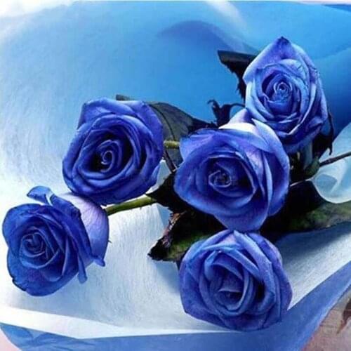 DIY 5D Full Square/Round Rhinestones Diamond Painting Cross Stitch Flowers Diamond Embroidery Blue Rose Paintings Home Decor