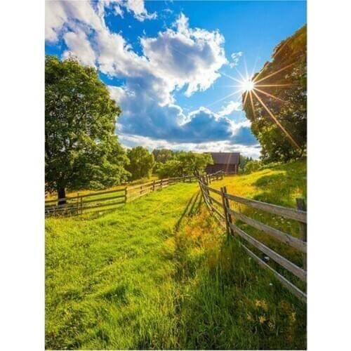 DIY Diamond Painting Set Diamond Full Diamond Round Diamond Living Room Beautiful Decoration Farm