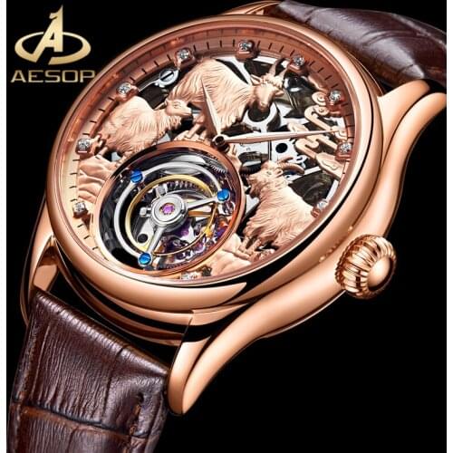 AESOP Top Luxury Brand Skeleton Watch 100%Real Tourbillon Mens Mechanical Watches Sapphire Glass Waterproof Men Watches