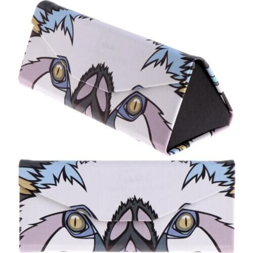 Triangle Foldable Glasses Case Cartoon Animal Eyeglasses Sunglasses Storage Box 2XPC