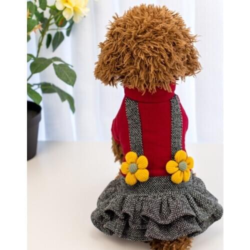 Autumn And Winter Pet Warm Clothes Dot Dog Dress For Dogs Skirt Princess Dog Dresses York Clothes For Dogs Skirts Pet Cat Dress