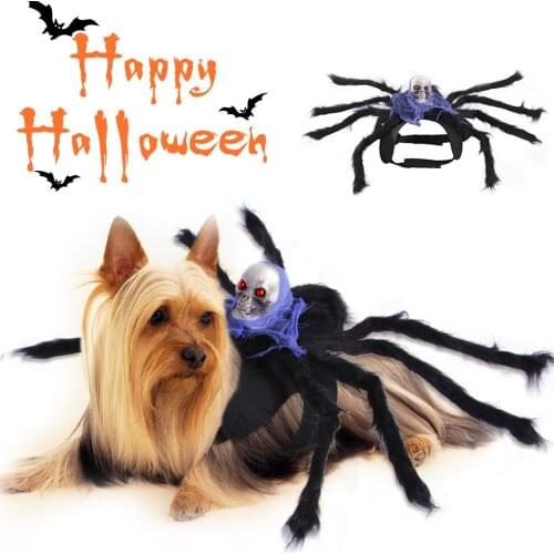 Halloween Costumes Dog Clothes Creative Skull Jackets Christmas Dress Birthday Gift Spider Coats Outfit Pet Accessories Clothing