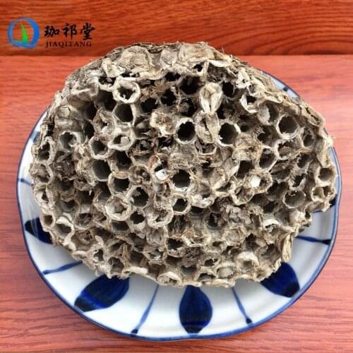 Nidus Vespae Honeycomb Polistes Olivaceous DeGeer Feng Fang