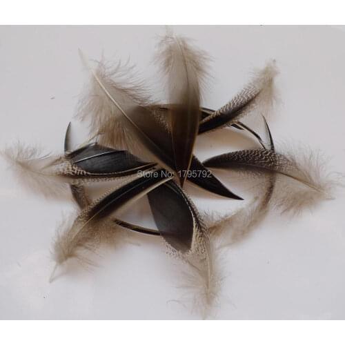 20Pcs 8-15cm Duck Pheasant Feathers For DIY Crafts Christmas Wedding Costumes Hat Earrings Clothing Material Decoration Plumas