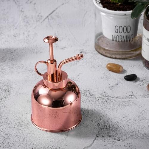 300ml Retro Mini Stainless Steel Watering Can Indoor Plants Succulents Watering Pot Home Office Potted Plant Garden Tool