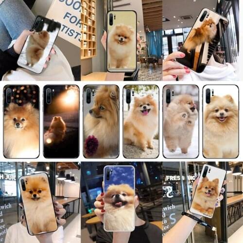 Pomeranian dogs dog Phone Case For Huawei P40 P20 P30 Mate 40 20 10 Lite Pro Nova 5t P Smart 2019
