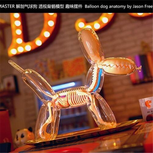 4D Big balloon dog Intelligence Assembling Toy Assembling toy Perspective Anatomy Model DIY Popular Science Appliances