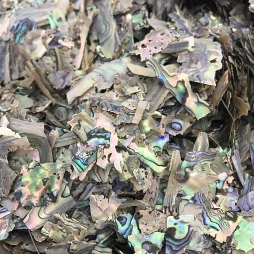 1KG abalone haliotis gigantea manicure pedicure crushed iridescent seashell nail powder glitter irregular patch chip pure slice