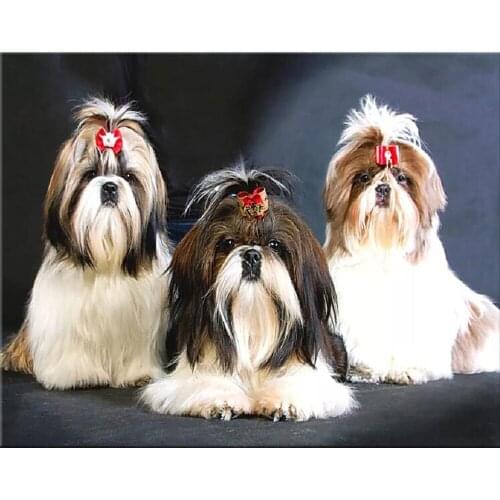 Yujohom Diamond Art Picture Diamond Painting Shih Tzu Dog Diamond Mosaic Full Layout Diamond Art Cute Pets Nederlands Christmas