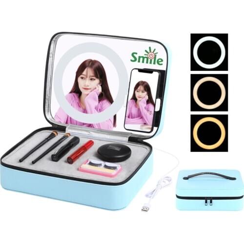 Makeup Box with LED Light, Mirror, Phone Holder Touch Switch USB Charging Portable Storage Flashes Lights for Livestreaming