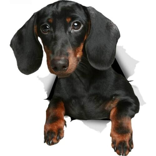 Dawasaru 3D Black Dachshund Dog Sticker Car Sticker Decal Skateboard Laptop Truck Motorcycles Auto Accessories PVC,15cm*11cm