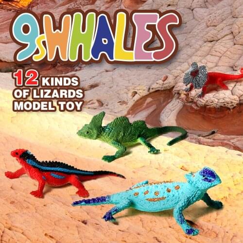 Realistic Lizard Growth Cycle Educational Fidget Toy Model PVC Scene Design Simulation Powder Toy figurine Decoration Gift