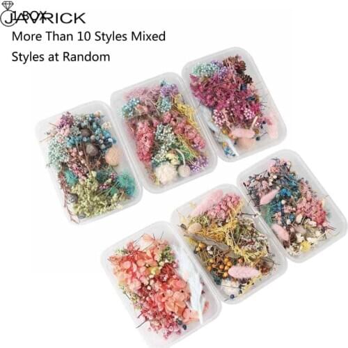 Real Pressed Flower Leaf Dried Daisy Flower Resin Flower Dry Beauty Nail Art Decals Epoxy Mold Fillings Jewelry Making