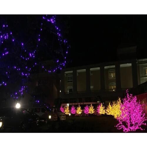 LED Christmas tree cherry tree lights 1.5m-3.0m New Year wedding luminous branch lights outdoor decoration fast free shipping