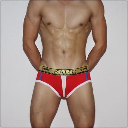 2019 Sexy men underwear gay men underwear Men Sexy cotton Underwear U Convex Pouch gay underwear brand clothing XL L M S