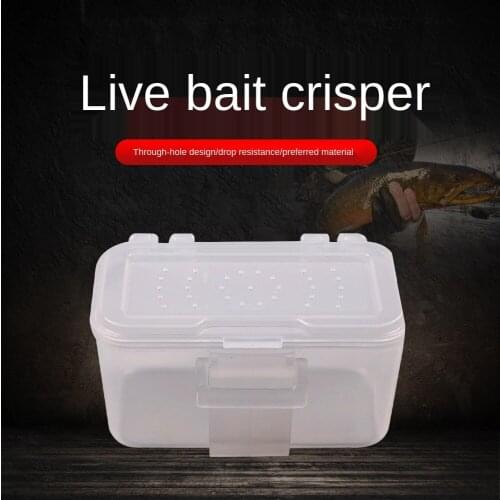 1pcs High Quality Bait Container Box Portable Live Bait waist hanging Case Earthworm Worm Lure Storage Box fishing tackle