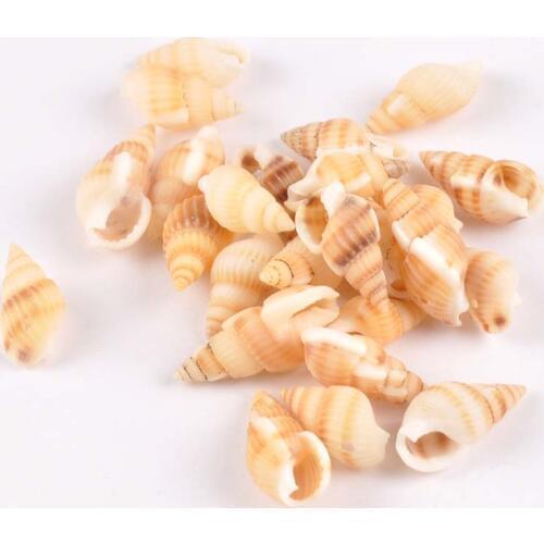 50pcs Light Yellow Spiral Natural Shell DIY Scrapbook Crafts Seashells Handmade Accessories Home Decor One Hole 19-25mm TR0126X