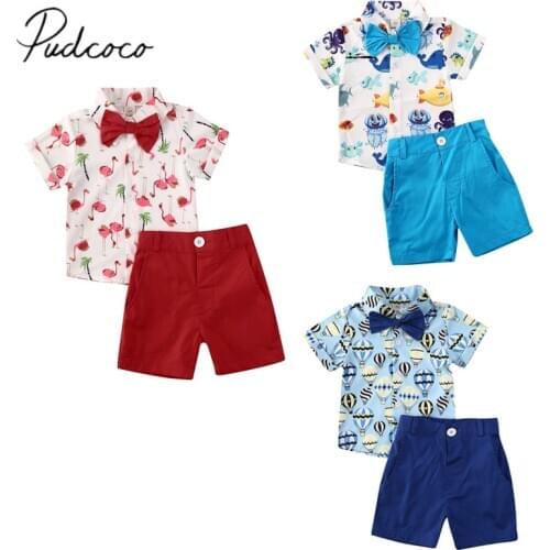 2020 Baby Summer Clothing Toddler Kids Baby Boy Flamingo Clothes Short Sleeve Shirt Tops Shorts Pants 2Pcs Outfits