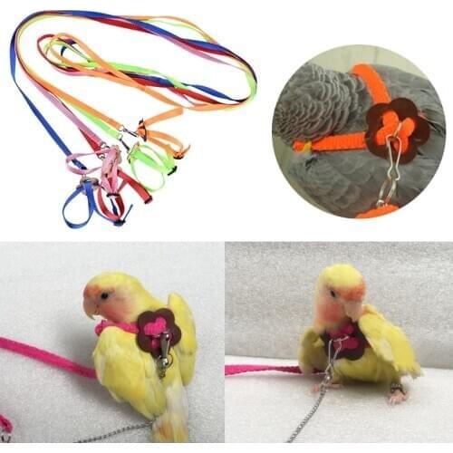 Hot Sale Anti-bite Flying Training Rope Parrot Bird Pet Harness Leash Kits Ultralight Harness Leash Soft Portable Pet Playthings