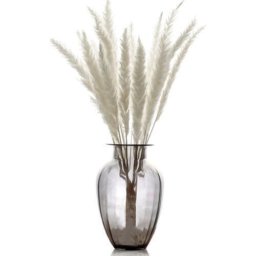 High quality white pampas plume 25cm decor wedding home small pampas reed grass 10pcs 20pcs No Vase Free Shipping