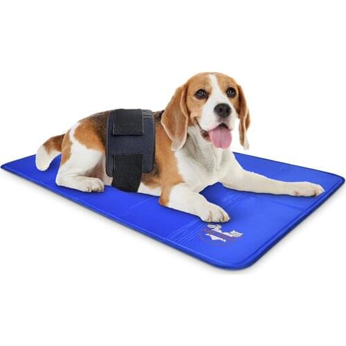 660+850NM Home Red Light Therapy Blet for Pain Relief, Wound Healing and Reduces Inflammation in Dogs, Cats, Horses,Pets