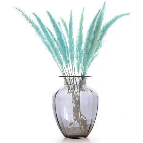 Free Shipping Bluesky 15 pcs Decor wedding home small pampas reed grass No Vase