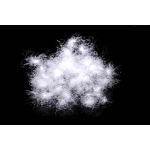 Free shipping / 95% Bulk white duck down & comforter filler / paypal accepted 5 oz/piece wholesale