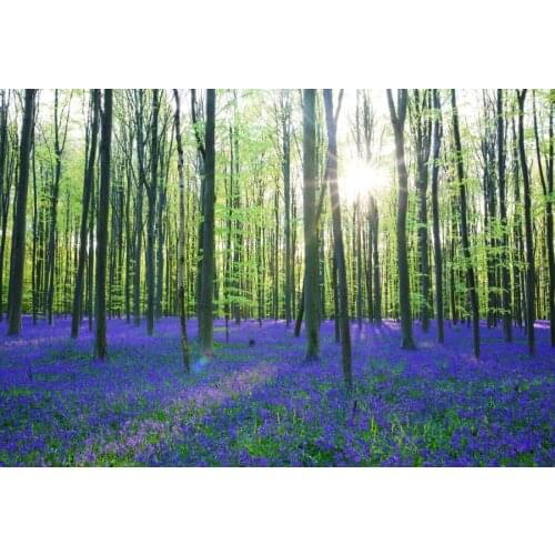 Laeacco Spring Forest Carpet of Bluebells Scene Baby Photography Backgrounds Customized Photographic Backdrops For Photo Studio