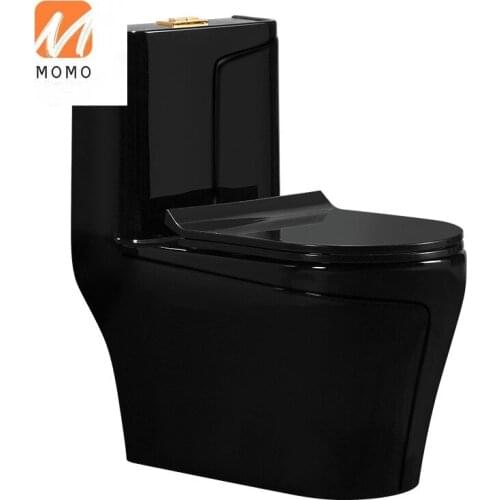 Black household toilet European ceramic water saving individual siphon toilet Biological Toilet Closestool Toilet Seat