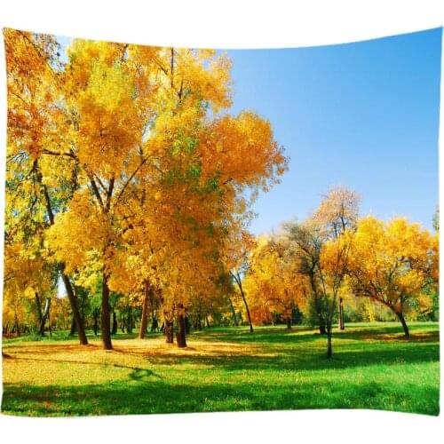 Natural Landscape The Primeval Forest Woods Towering Teees Tapestry Wall Hanging Bed Spread Beach Towel Table Cloth Yoga Mat