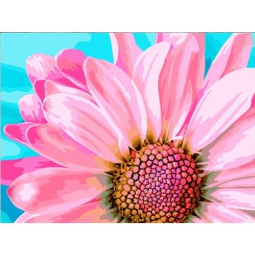 Painting By Number Digital 50x65CM Big Pink Flower Flower Wall Art Gift DIY Pictures By Numbers Canvas Kits Home Decoration