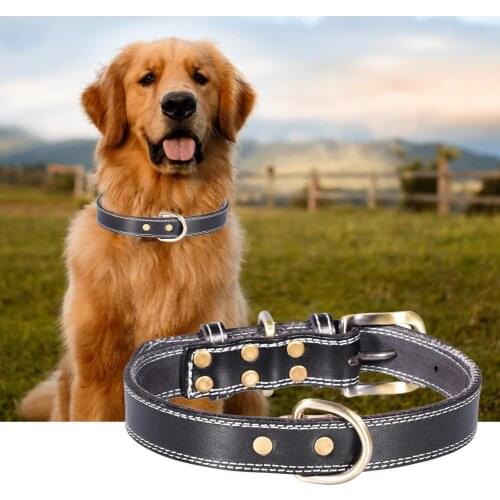 Pet Easy To Identify Collar Wear-resistant Adjustable Faux Leather Breathable Dog Necklace Suitable For Medium And Large Dogs