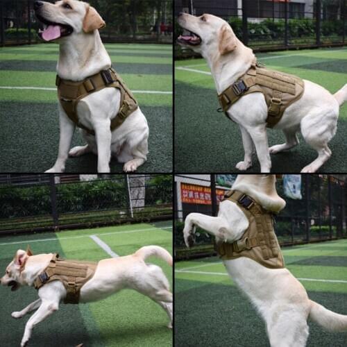Tactical Dog Vest Breathable Military Dog Clothes Harness Size Adjustable Training Hunting Molle Walking Hiking Dog Molle Vest