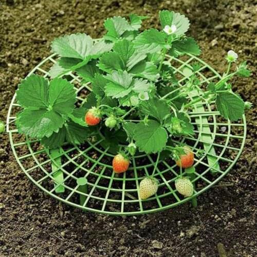 6 Sets Strawberry shelf plant support frame Protect strawberries and make them more hygienic Easy to assemble Gardening tools