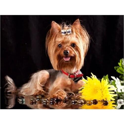 Rhinestone embroidery DIY 5D Diamond Painting Yorkshire Terrier Dog Cross Stitch Diamond Embroidery paintings 3d pictures mosaic