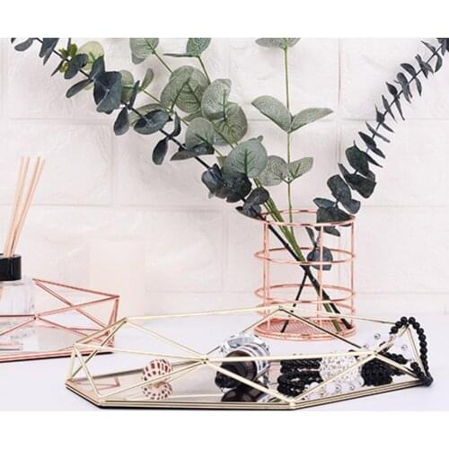 2 Colors Unique Exquisite Strong Construction Storage Display Tray Long Lasting Storage Plate Multi-use for Living Room