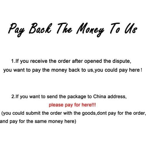 Pay The Money Back To Us