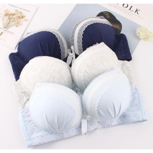 Japanese girl brassiere without rims underwear Sweet lace wireless sutian institute wind ladies bra thin cotton bralette works