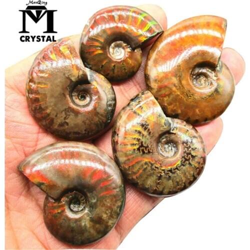1pcs natural Rare Red Light Ammonite Fossil Shell stone Colorful Fossil shell Collection Mineral Specimen home decoration