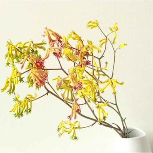 Home Decor Dried Atificial Flower Plant Kangaroo Paw Outdoor Garden Decor Living Indie Room Decoration Mothers Day Wedding Party