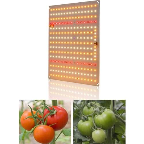 AGQ LED Plant Lamps