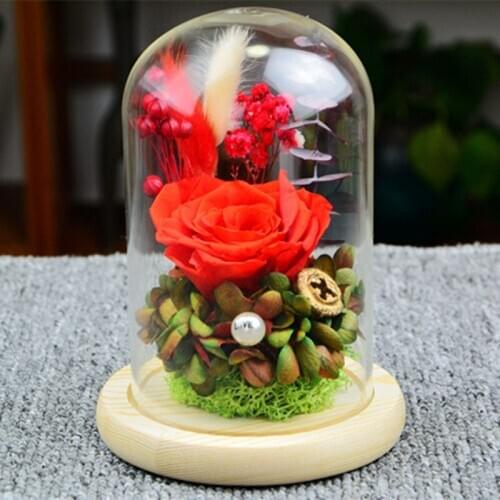 Free Shipping 10*20cm Log Base Glass Dome Vase Home Decoration Creative DIY Cover Friend Gift Wedding