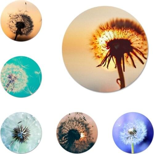Beautiful scenery dandelion Icons Pins Badge Decoration Brooches Metal Badges For Backpack Decoration 58mm
