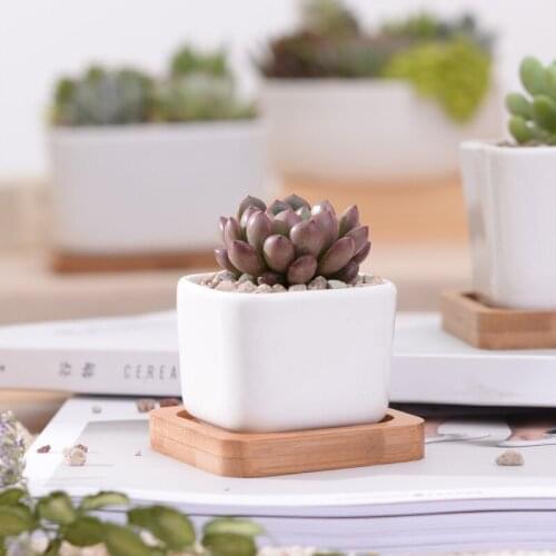 2 PCS Geometic White Ceramic Square Bonsai Planter Little Succulent Flower Pots Modern Small Cactus Flowerpot Bamboo Tray WY805