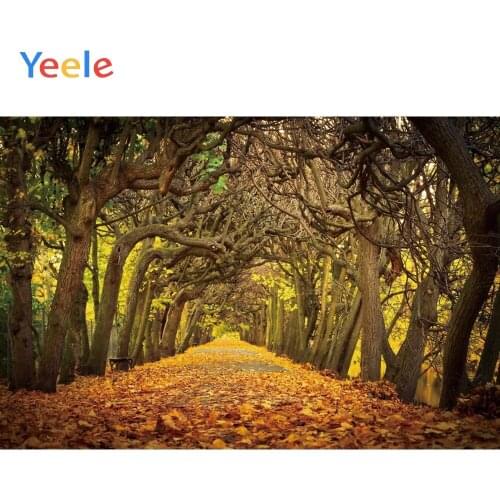 Yeele Autumn Scenery Fallen Leaves Tree Nature Travel Scene Photo Backgrounds Custom Photography Backdrops For Photo Studio